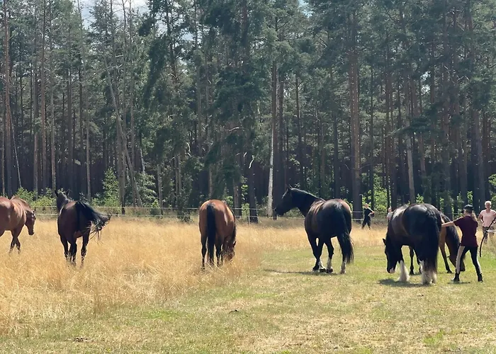 Landhof Belka